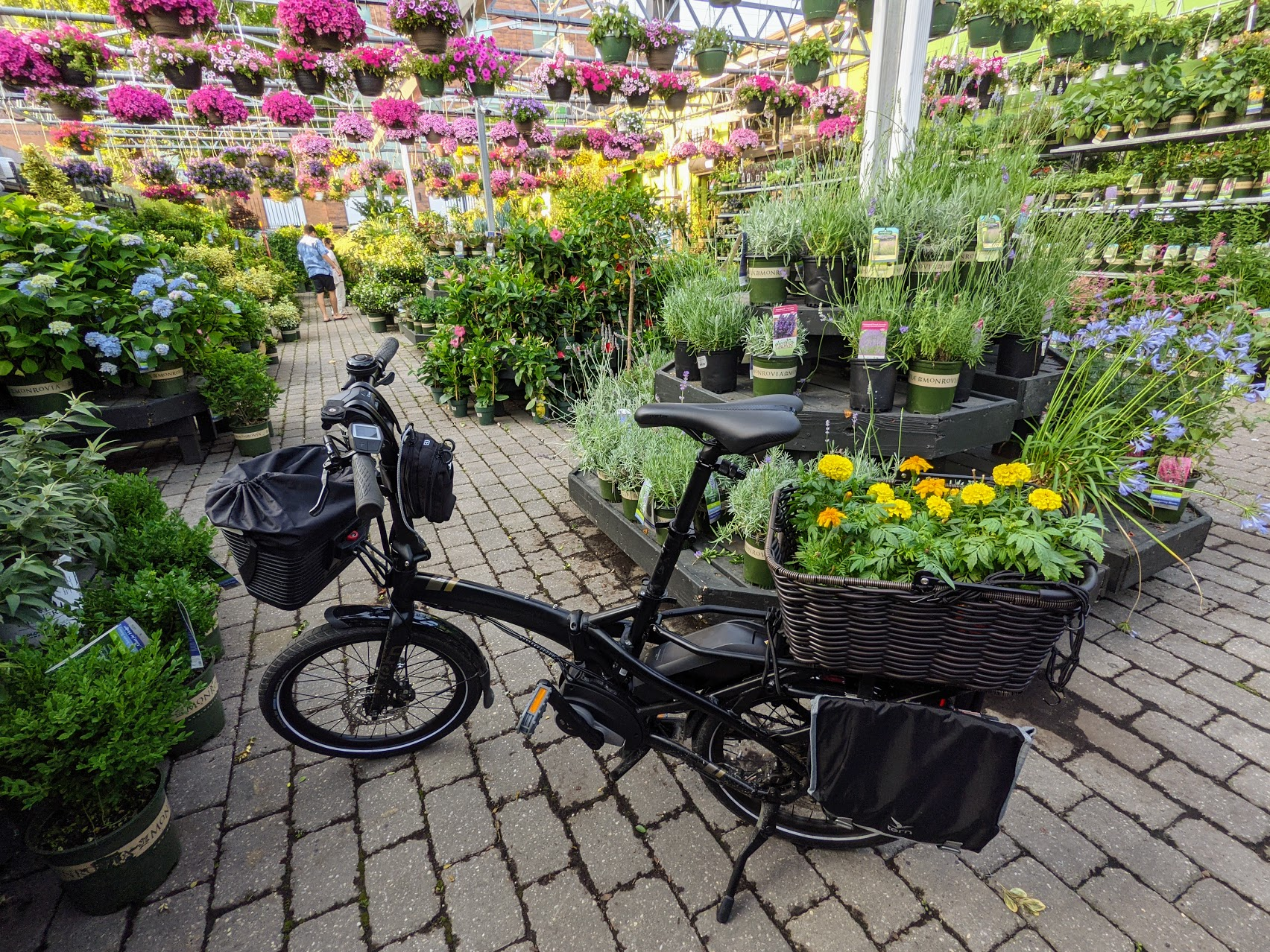 Tern Vektron Q9 loaded up with plants at a plant store